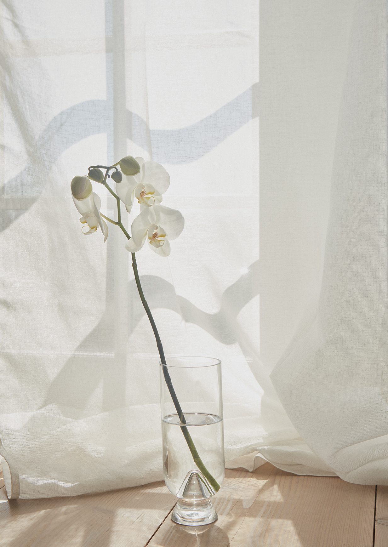 GLACIES vase GLACIES vase